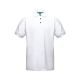 White / Kelly Green
